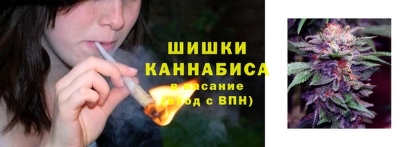 2c-b Каменка