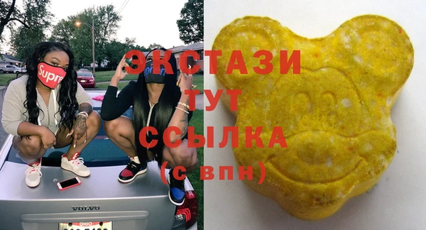 ECSTASY Каменск-Шахтинский