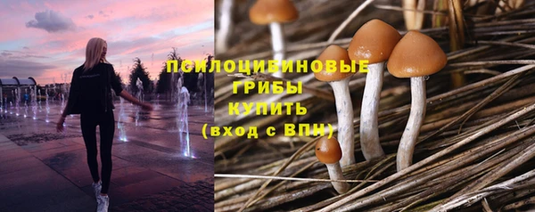ECSTASY Каменск-Шахтинский