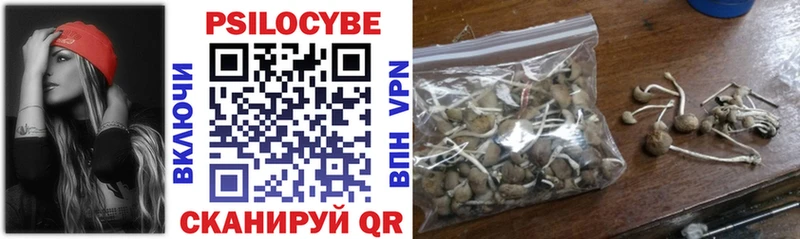 Купить закладки  Нефтекумск  Галлюциногенные грибы Psilocybine cubensis 